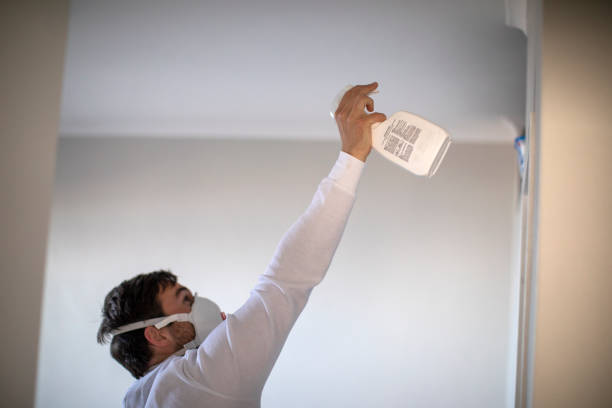 Best Toxic Mold Removal  in Kingman, AZ