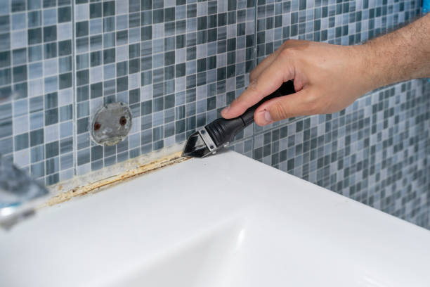 Best Toxic Mold Removal  in Kingman, AZ